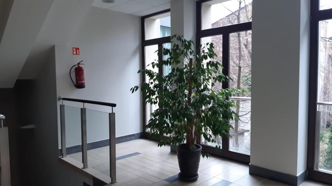 Apartament Wielopole 17 Kraków Exteriör bild